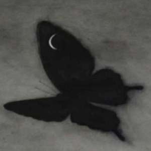 大巴车轮轩小说
