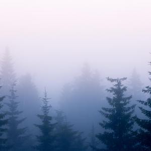 大巴车轮轩小说
